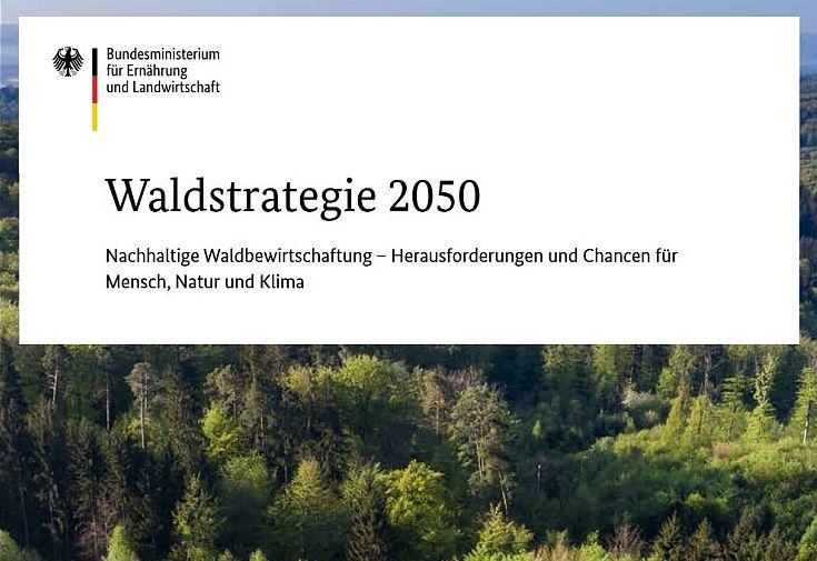 Titelseite Waldstrategie