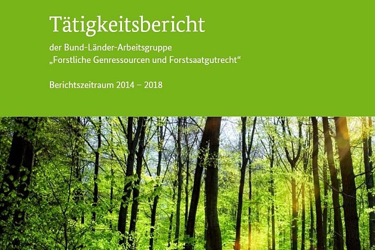 Titelblatt des Tätigkeitsberichts